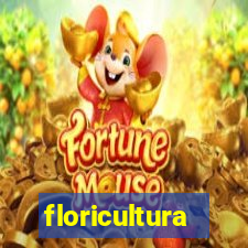 floricultura juazeiro bahia